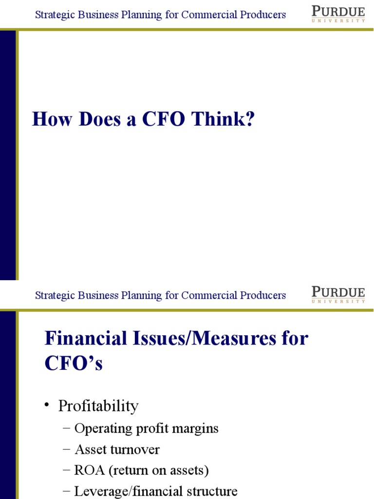 CFO Guide: Strategic Business Planning | PDF