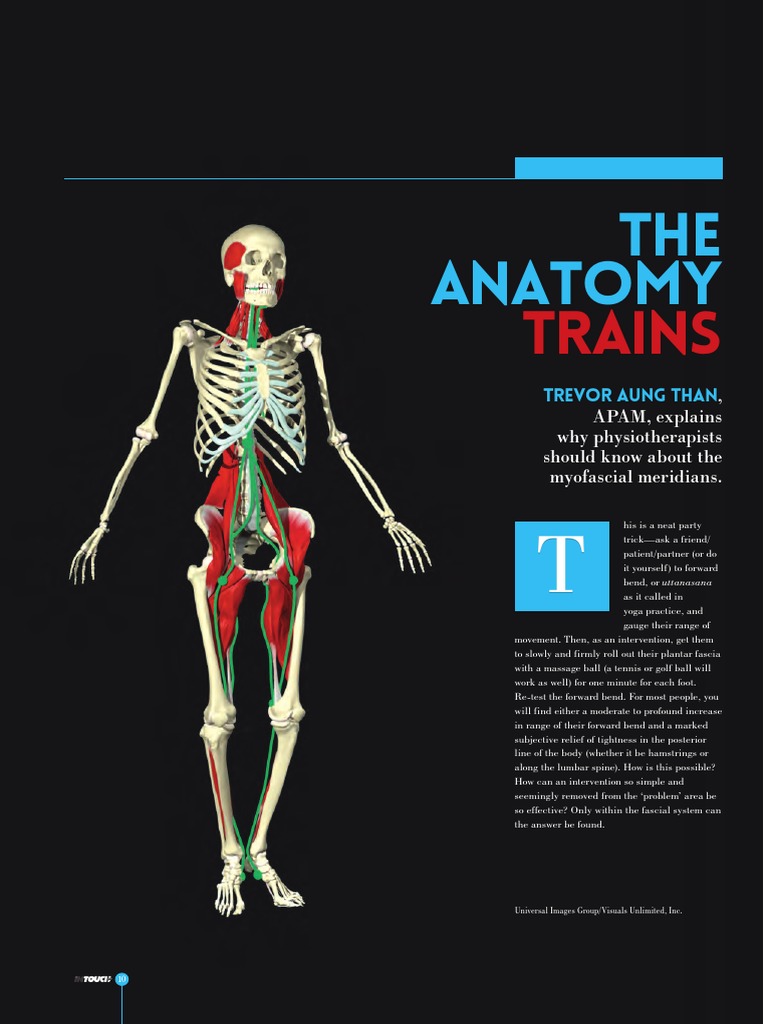 Anatomy intelligence overview