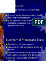 3 - Background On Protozoans