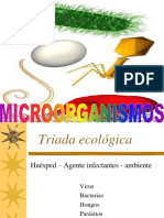 Clasificacion Microorganismos 