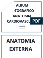 album fotos anatomia