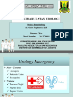 Emergency Urology NURUL IMANIAR