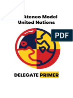 AMUN 8 Delegate Primer 1