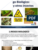 Riesgo Biologico - Abejas