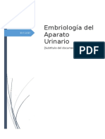 Embriología Del Sistema Urogenital