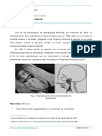 Ortopedia MAXILOFACIAL Historia