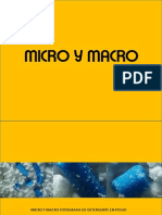 Micro y Macro