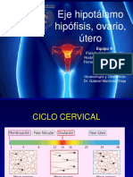 Ciclo Cervical PDF