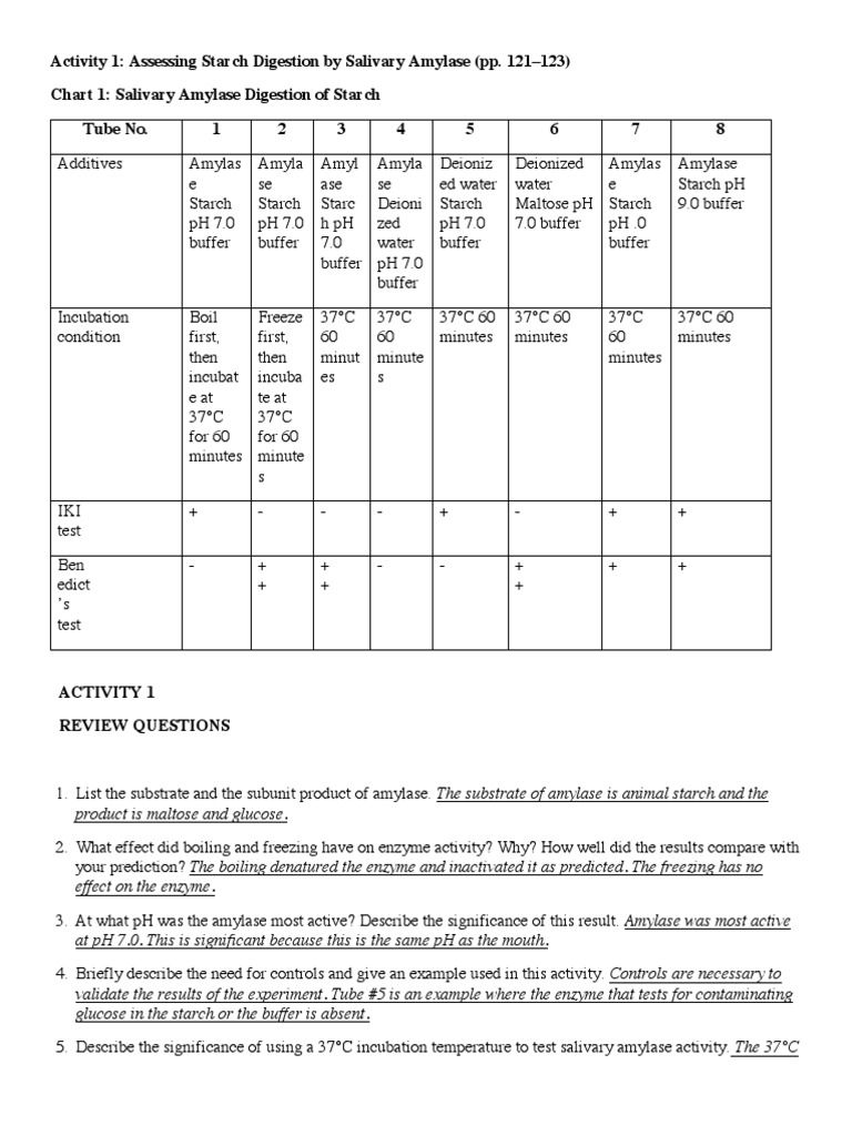 Physio Digestion Lab Key PDF | PDF
