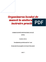 CDL_2017_CLASA_9_IP_Mecanica.pdf