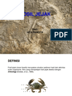 Paleontologi2015 13