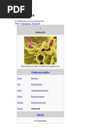 Download Salmonella by Juanky Olivera SN37319629 doc pdf