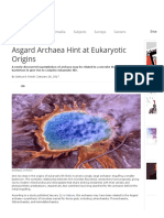 Asgard Archaea Hint at Eukaryotic Origins - The Scientist Magazine®