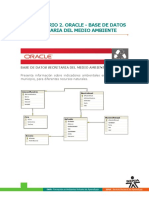 oracle_ambiente.pdf