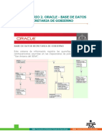 oracle_gobierno.pdf