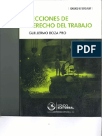 Lecciones de Derecho Del Trabajo