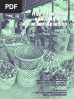 Perspectivas para a implementação do socioambientalismo