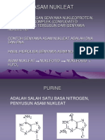 ASAM-NUKLEAT.ppt