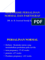 Slide Persalinan Normal