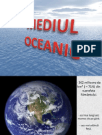 Mediul Oceanic
