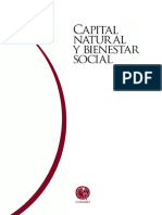 Capital Natural 2EP PDF