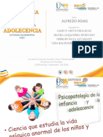 Fase 1 Actividad Colaborativa Psicologia de La Infancia y Adolecencia