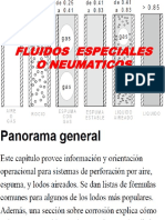 Fluidos Especiales o Neumaticos PDF