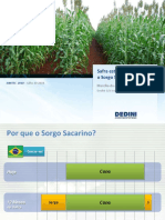 SIMTEC2010_sorgo.pdf