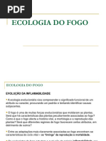 Ecologia Do Fogo
