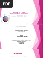 Angie Mieles 211 Presentación Pre-Tarea