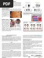 Lenguaje de La Herencia