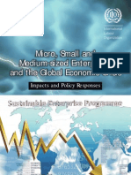Micro, Small and Medium-Sized Enterprises and The Global Economic Crisis