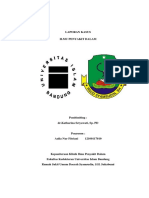 LAPORAN KASUS Aulia Rs Bunut Rev1