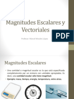 Magnitudes Escalares y Vectoriales