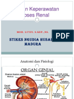 ABSES RENAL.ppt