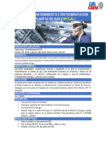 MAESTR+ìA MANTENIMIENTO E INSTRUMENTACI+ôN EN PLANTAS DE GAS - VIRTUAL.pdf