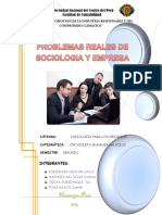 291329111-Problemas-Reales-de-Sociologia-y-Empresa.docx