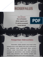 Hid Rose Falus