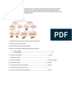 Kunci Determinasi DefinisiKunci Determinasi Atau Kunci Dikotom Adalah Cara Atau Langkah Untuk Mengenali Organisme Dan Mengelompokkannya Pada Takson Makhluk Hidup