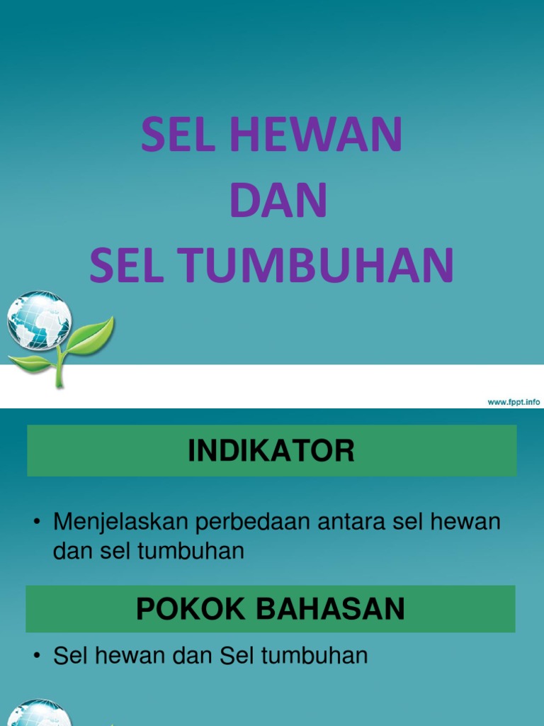 Ppt 4 Sel Tumbuhan Dan Sel Hewan Ppt 4 Sel Tumbuhan Dan Sel Hewan