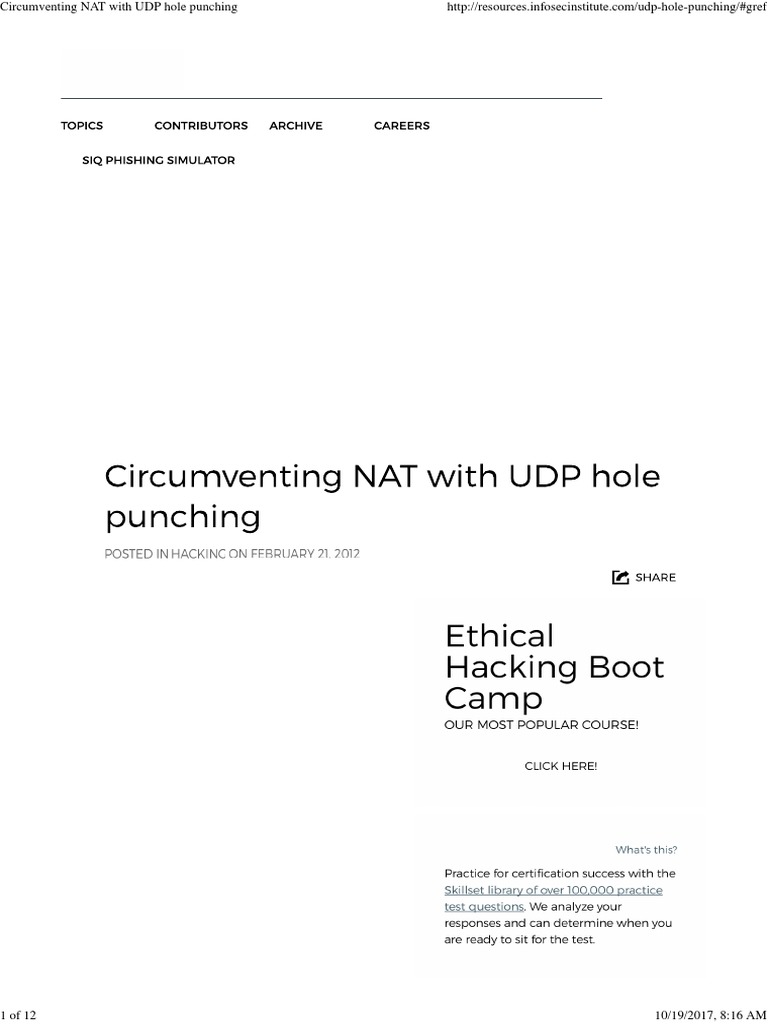 Circumventing NAT With UDP Hole Punching PDF Crime Prevention