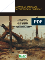 DesmatamentonaAmazoniaindoalemdaemergenciacronica