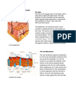 Anatomy and Physiology For Dengvaxia