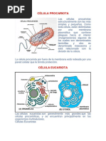 CÉLULA PROCARIOTA