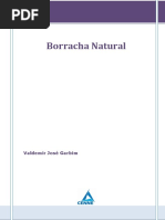 borrachanatural-130327145259-phpapp02.pdf