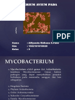 Mycobacterium Avium Pada Unggas