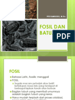 Evolusi Fosil Dan Batuan