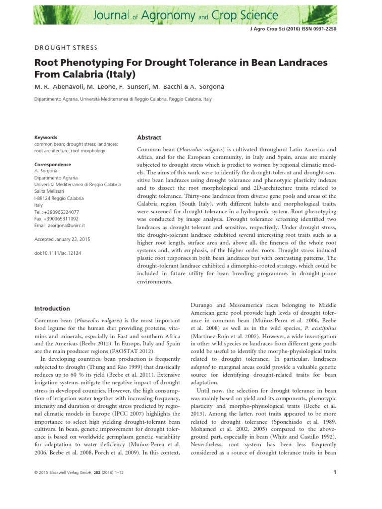 Root Phenotyping For Drought Tolerance in Bean Landraces From Calabria ...