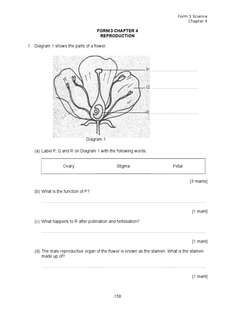 SCIENCE FORM 3 Chapter 4 Exercise | Reproductive System ...