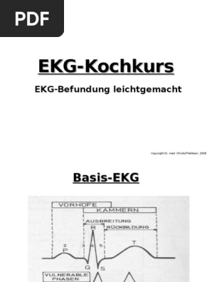 Ekg Kochkurs Pdf